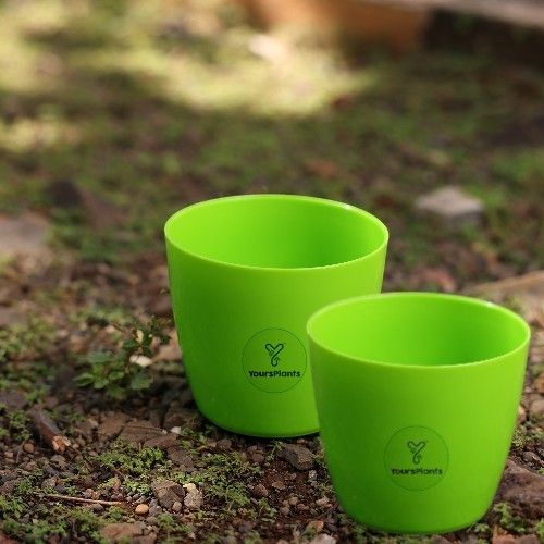 Valencia Planters | Pack of 2 | Green Pot_7