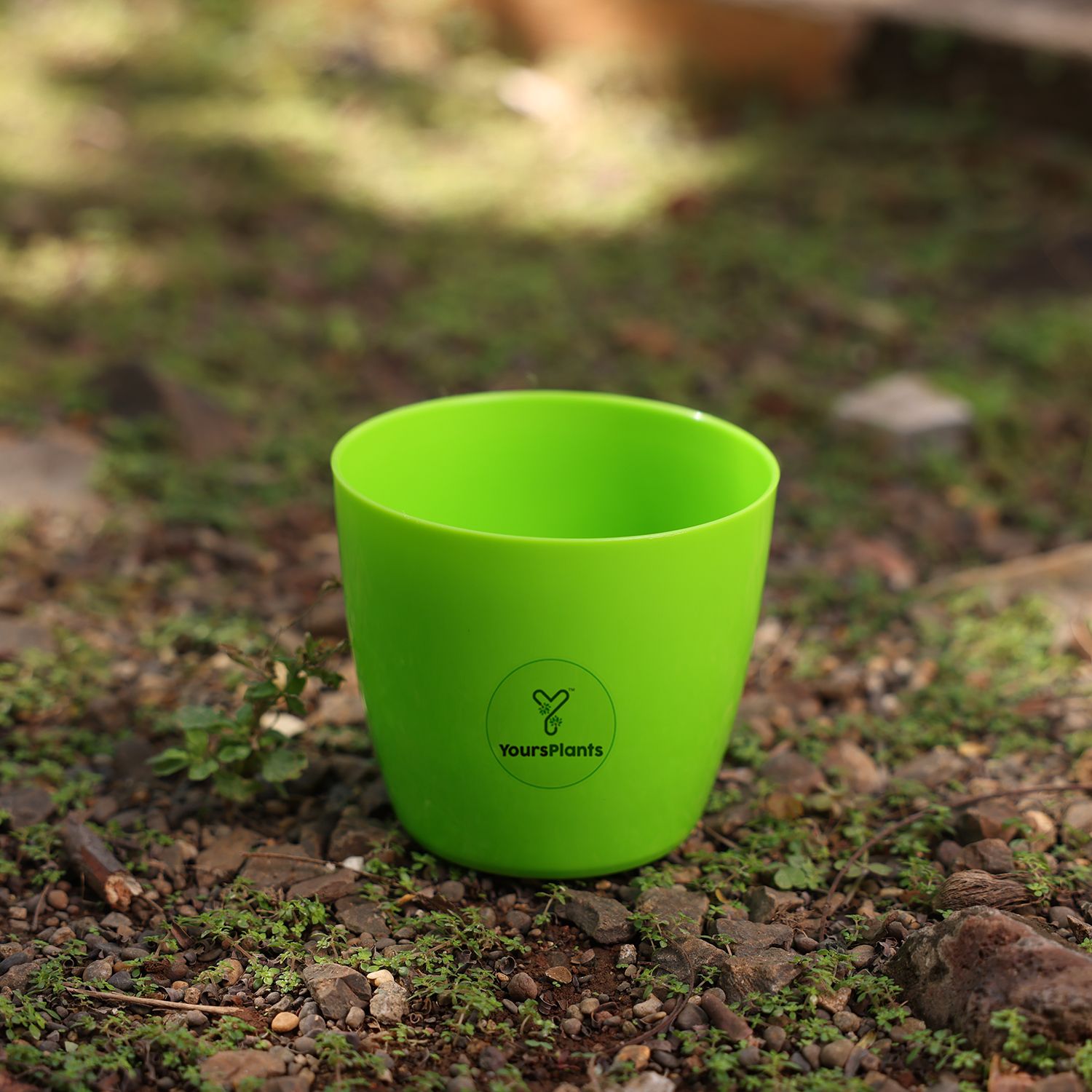 Valencia Planters | Pack of 2 | Green Pot_4