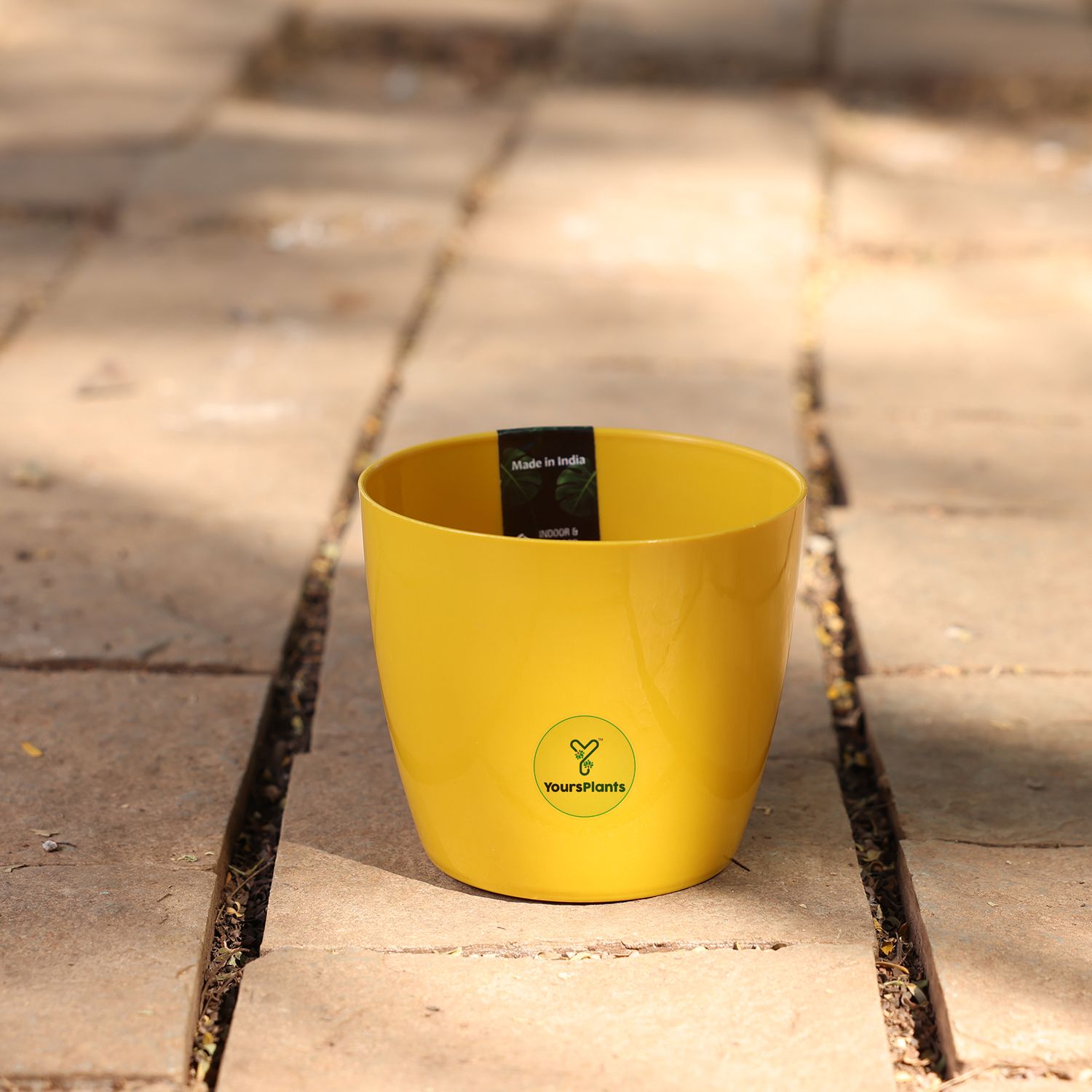 Valencia Planters | Pack of 2 | Mustard Pot_2