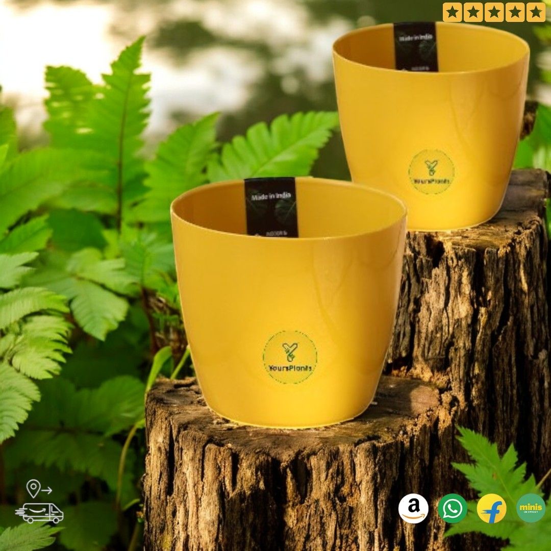 Valencia Planters | Pack of 2 | Mustard Pot_6