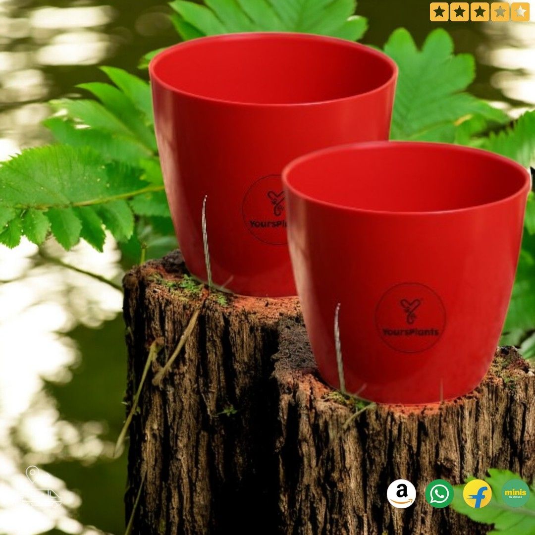 Valencia Planters | Pack of 2 | Red Pot_5