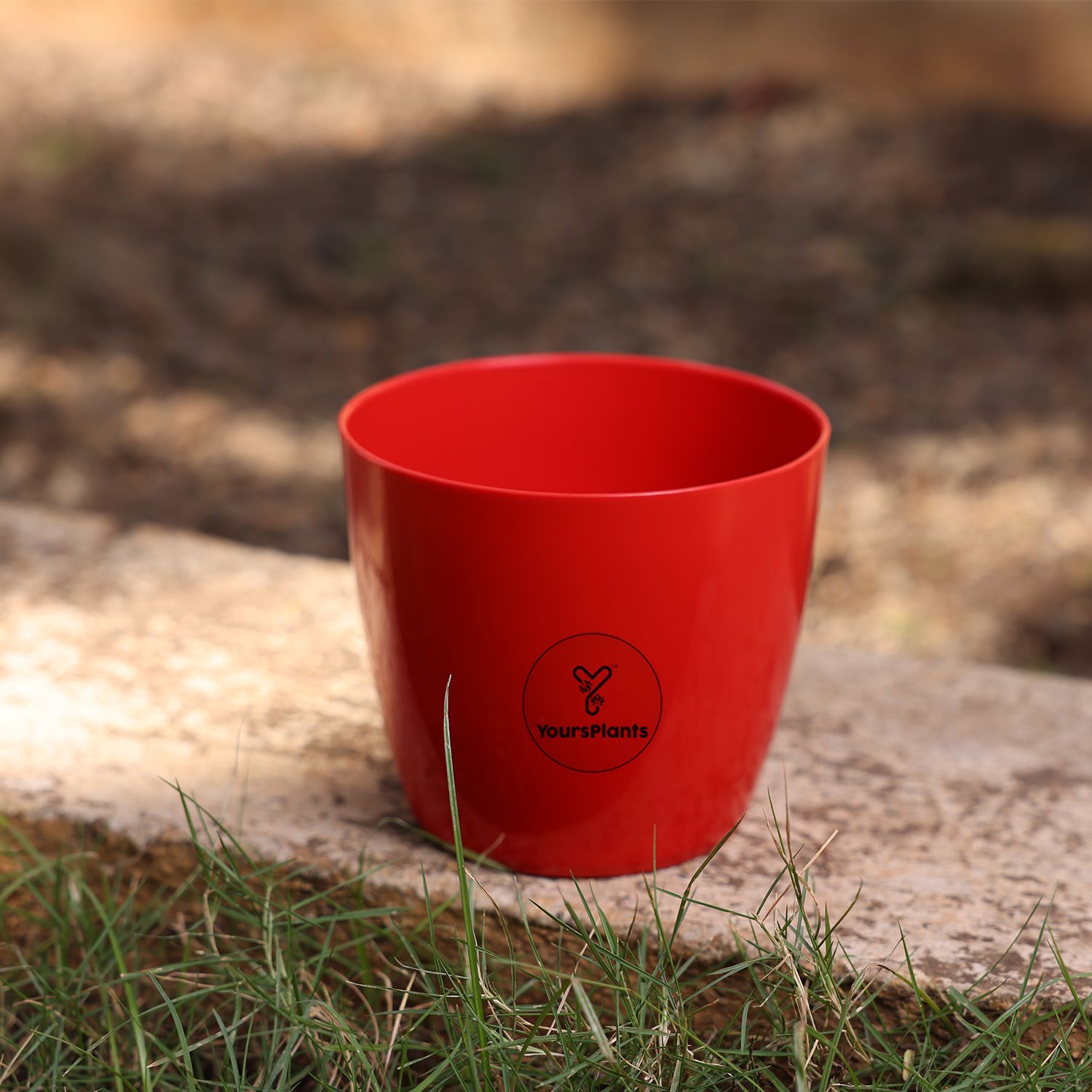Valencia Planters | Pack of 2 | Red Pot_2