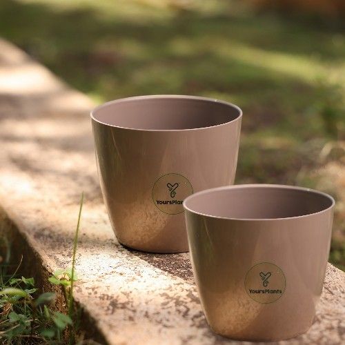 Valencia Planters | Pack of 2 | Mocca Pot_3
