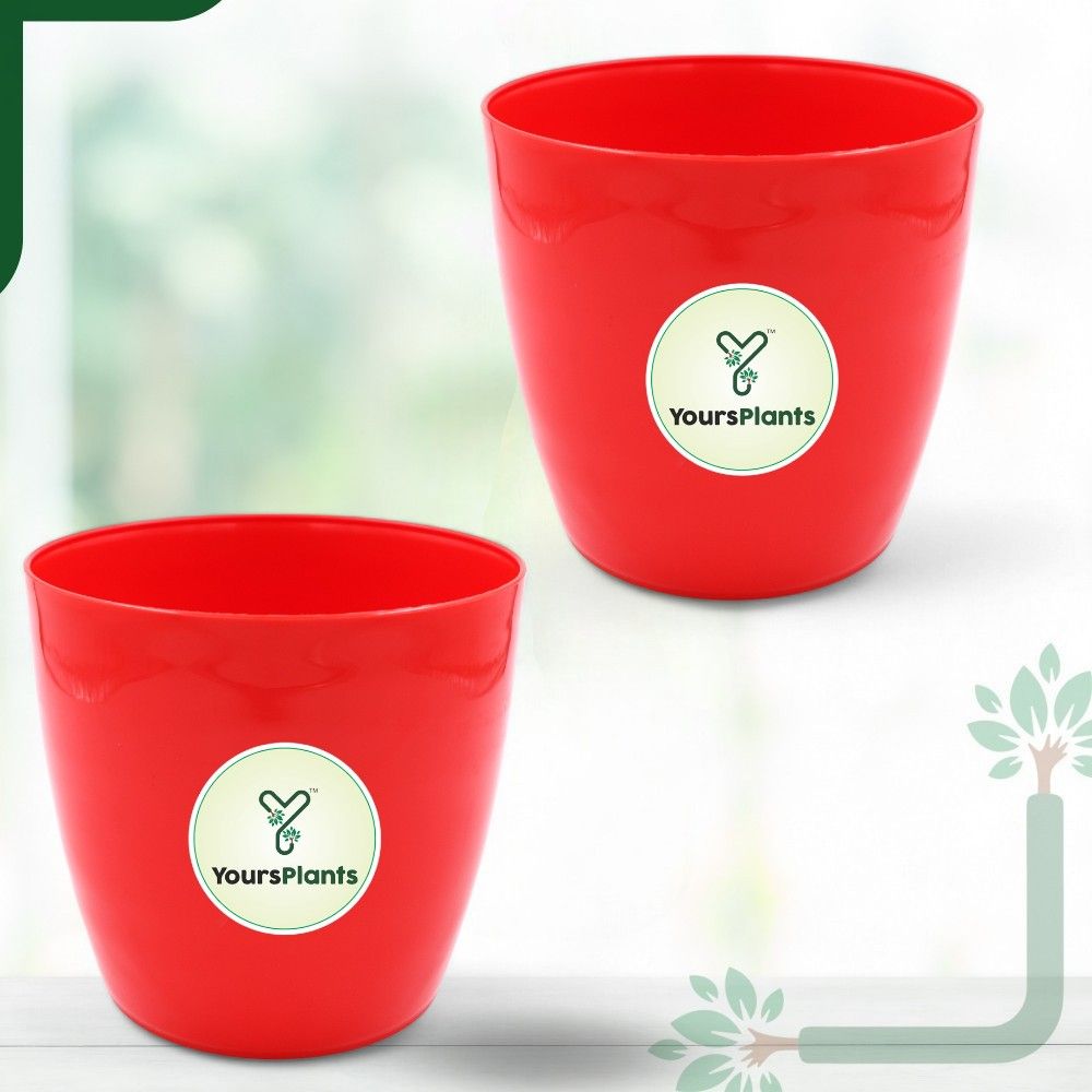 Valencia Planters | Pack of 2 | Red Pot_0