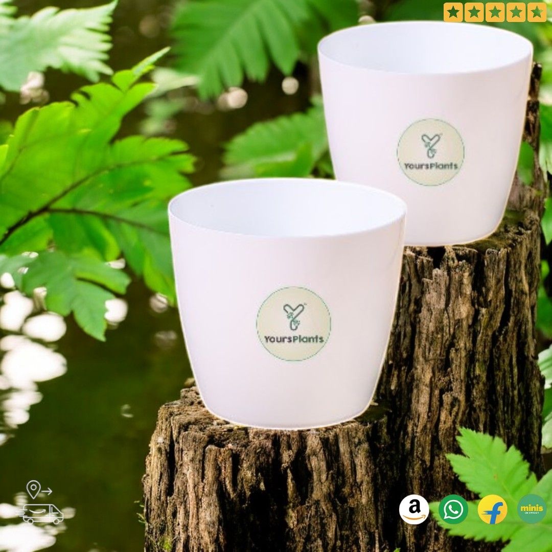 Valencia Planters | Pack of 2 | White Pot_5