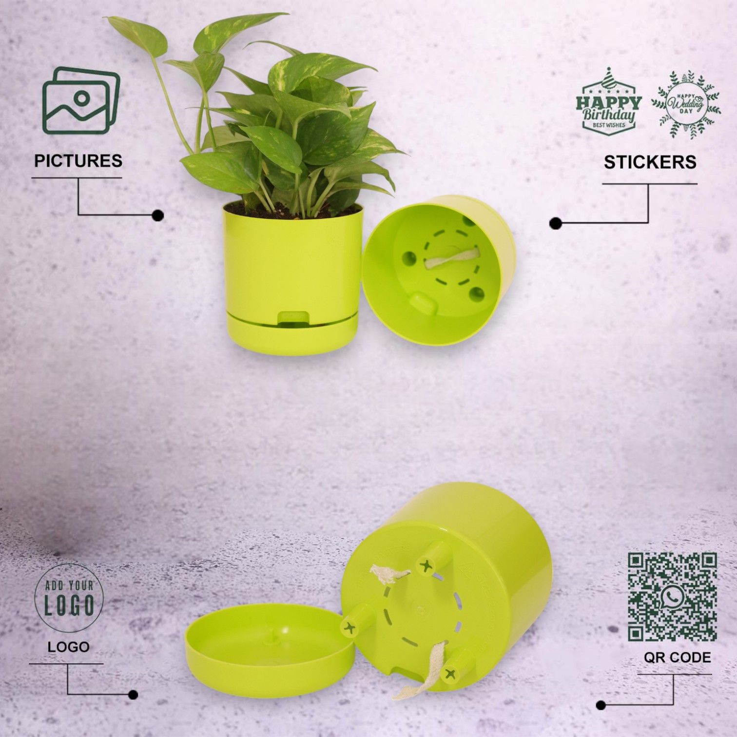 Green | Bloom9 Self-Watering Pot | 5-Inch | {Free 1kg Organic Pot Mix} | Pack of 4_2