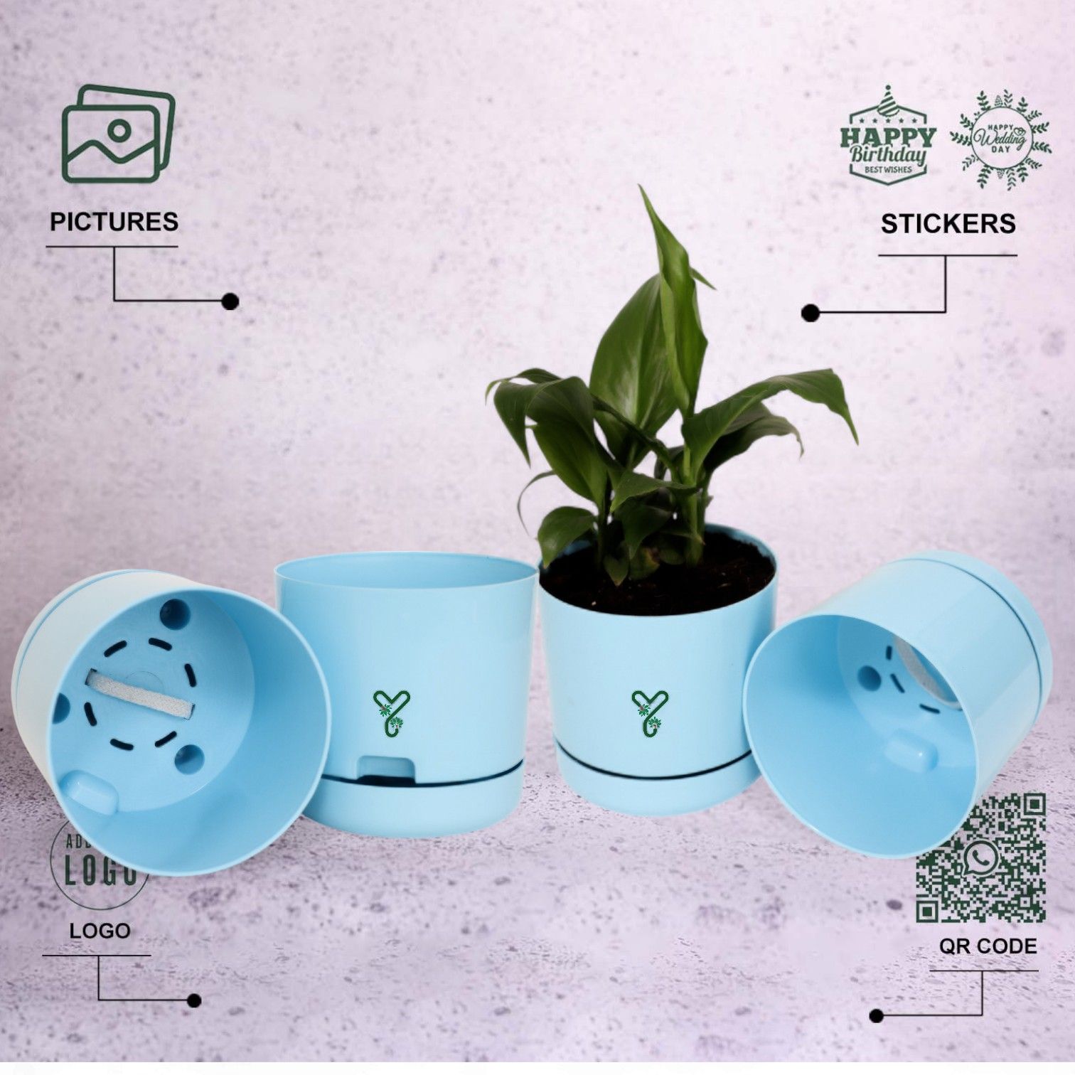 Blue | Bloom9 Self-Watering Pot | 5-Inch | {Free 1kg Organic Pot Mix} | Pack of 4_4