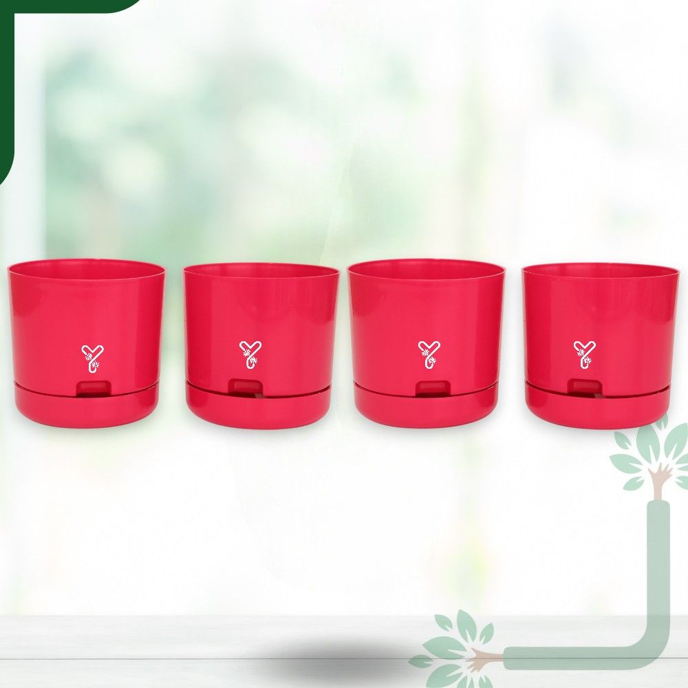 Pink | Bloom9 Self-Watering Pot | 5-Inch | {Free 1kg Organic Pot Mix} | Pack of 4_4