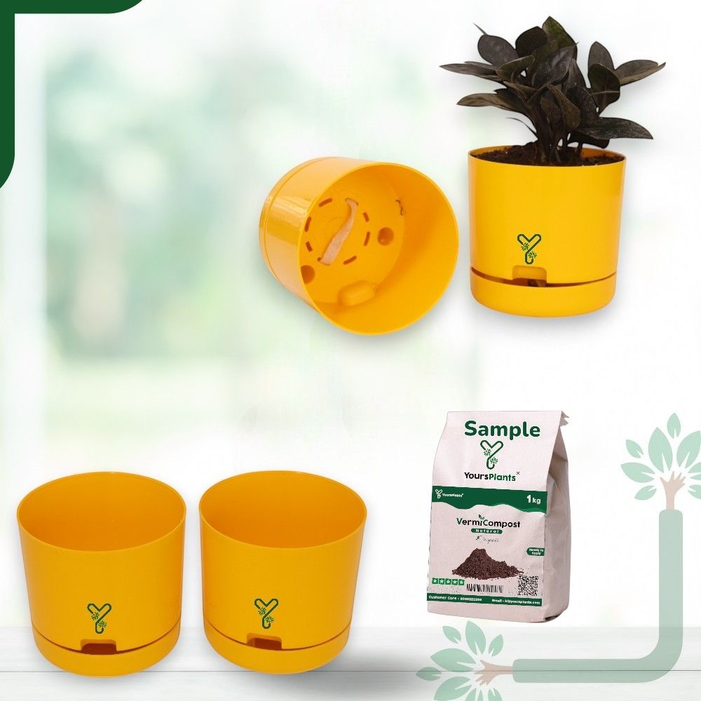 Mustard | Bloom9 Self-Watering Pot | 5-Inch | {Free 1kg Organic Pot Mix} | Pack of 4_0