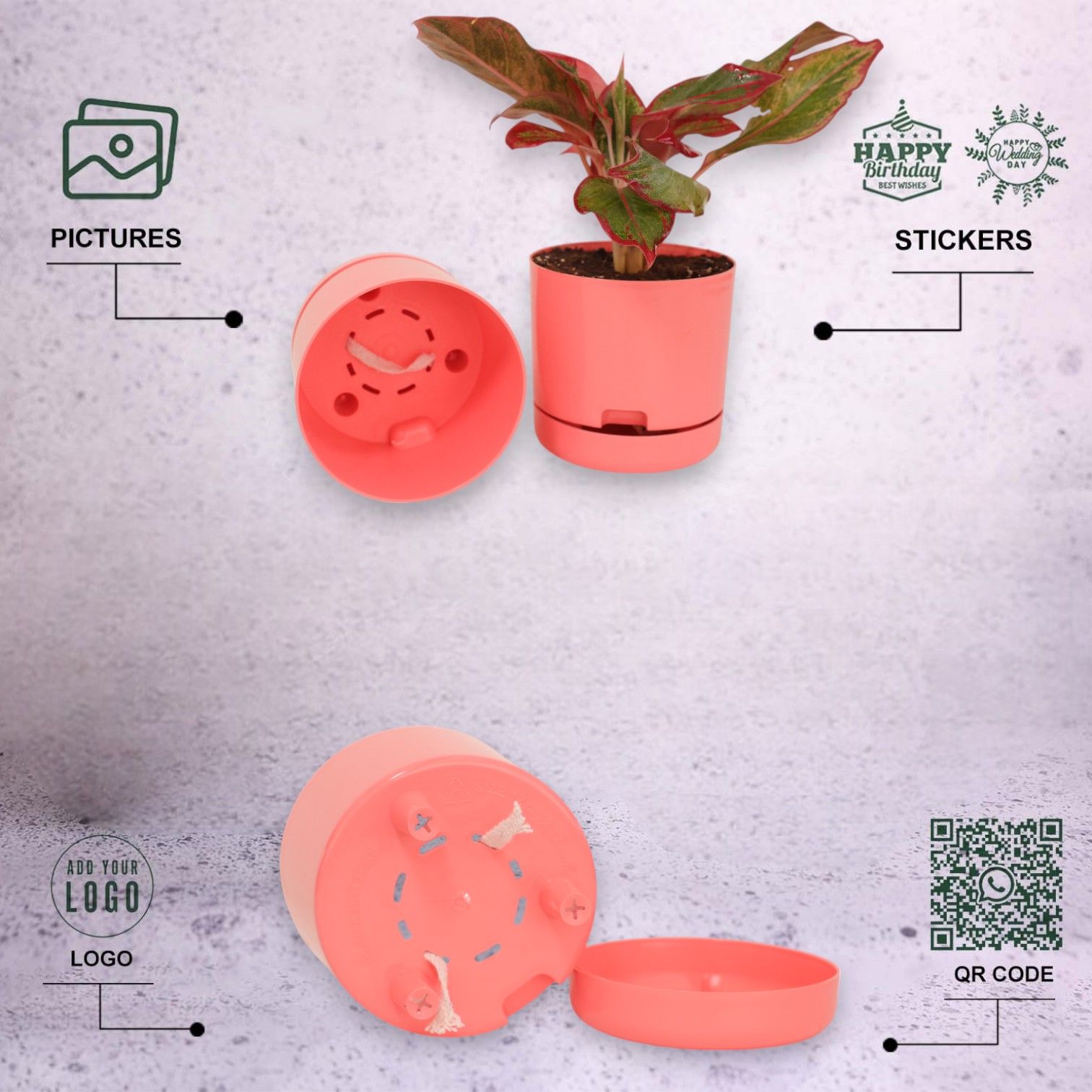 Peach | Bloom9 Self-Watering Pot | 5-Inch | {Free 1kg Organic Pot Mix} | Pack of 4_2