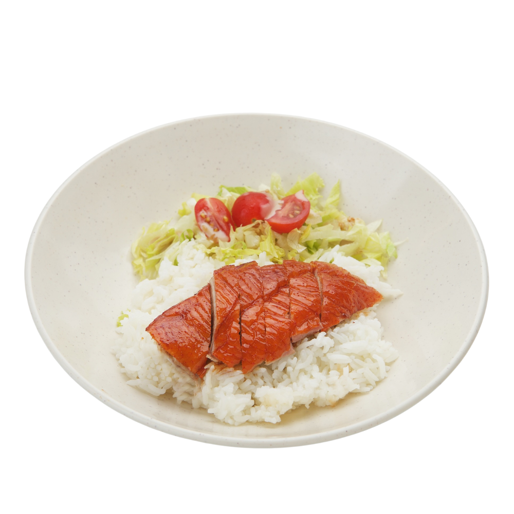 Pipa Duck Rice 琵琶鸭饭_0