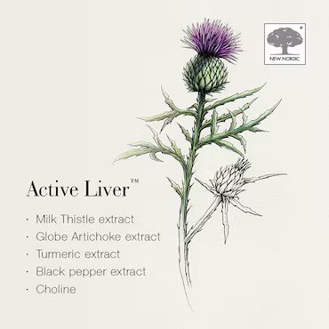 New Nordic Active Liver 60 Tablets_2