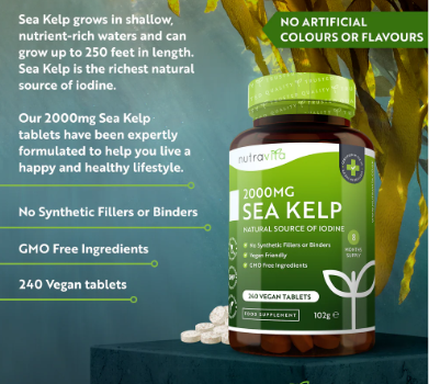 Sea Kelp_1