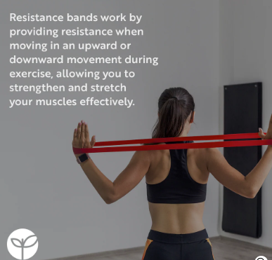 5 Mini Resistance Bands_1
