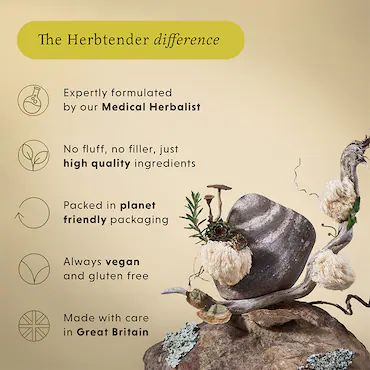 The Herbtender FOCUS & CLARITY with Lion’s Mane and Holy Basil 60 Vegan Capsules_3