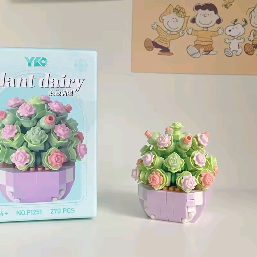 Succulents_3