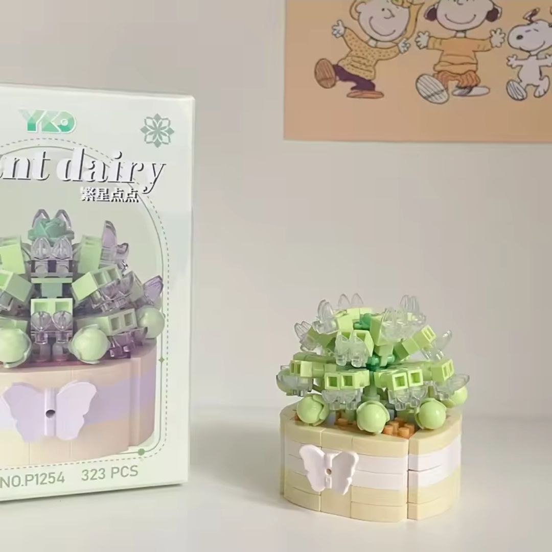 Succulents_8
