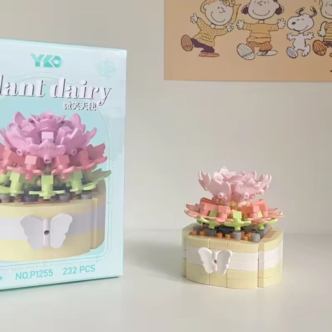 Succulents_9