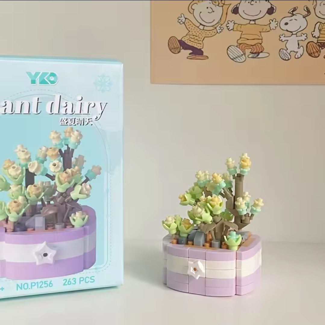 Succulents_10