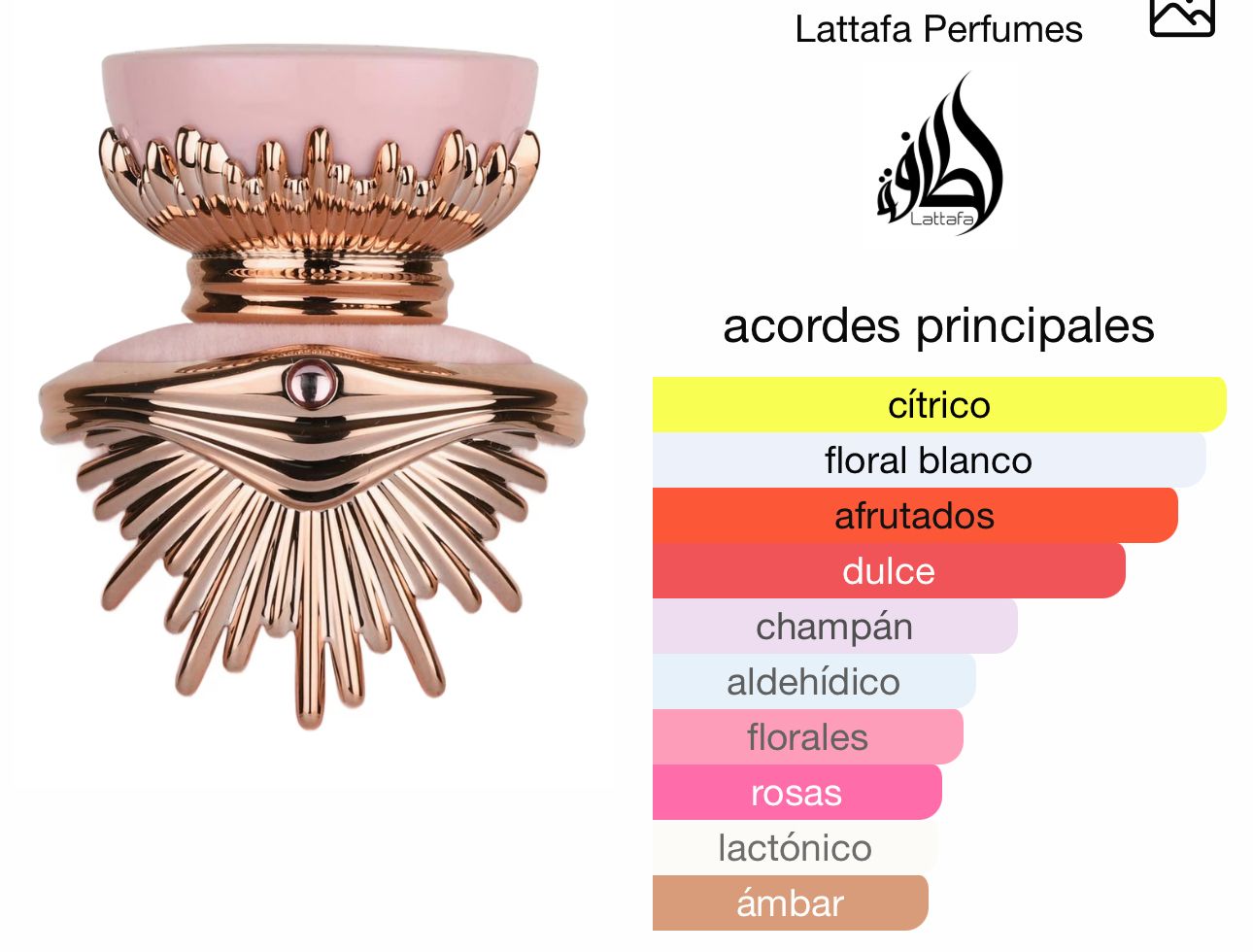 LATTAFA HAYA 100ml_1