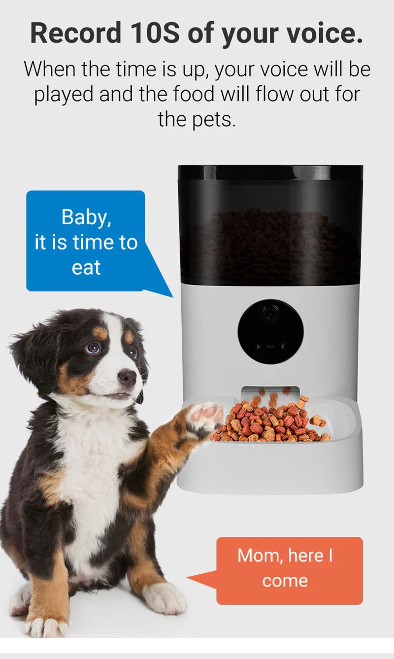 Surrunme Remote Visibility Automatic Intelligent Cat/Dog Smart Food Dispenser_1