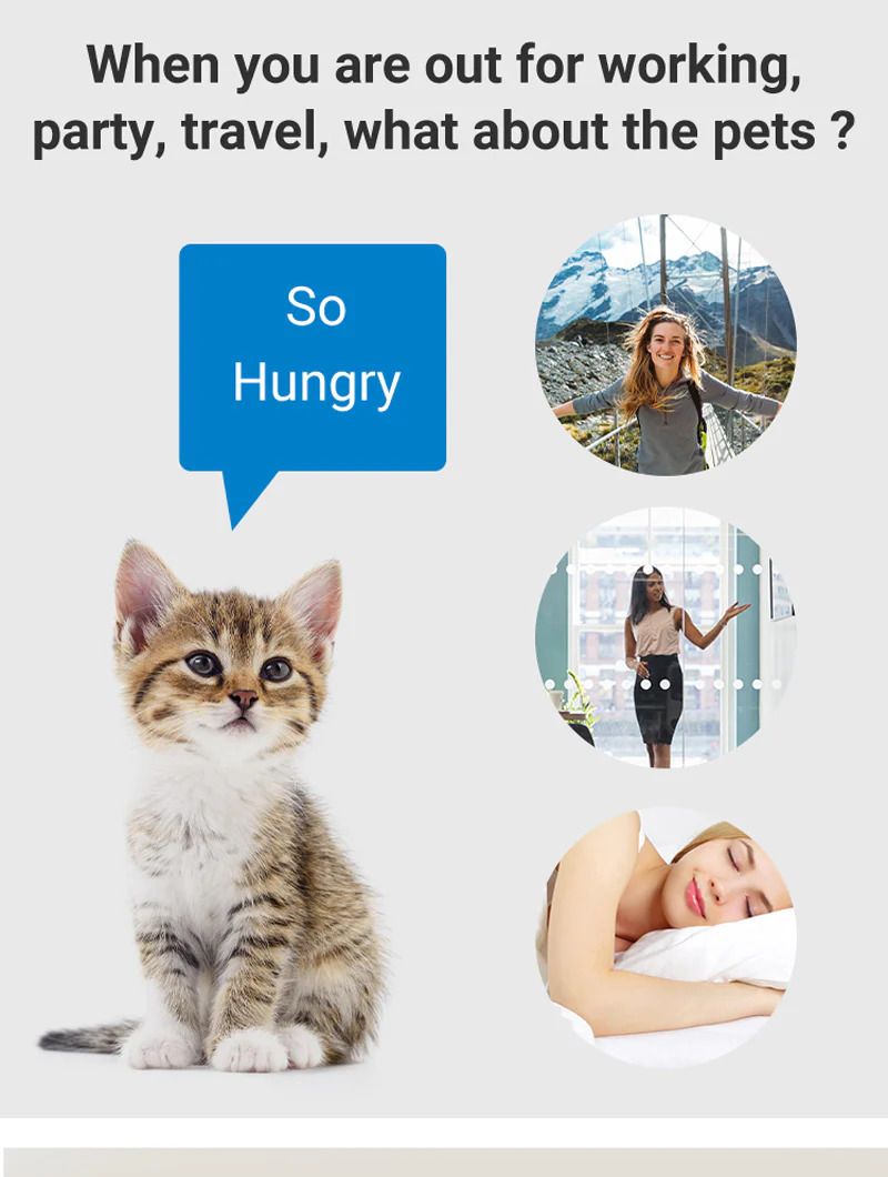 Surrunme Remote Visibility Automatic Intelligent Cat/Dog Smart Food Dispenser_7