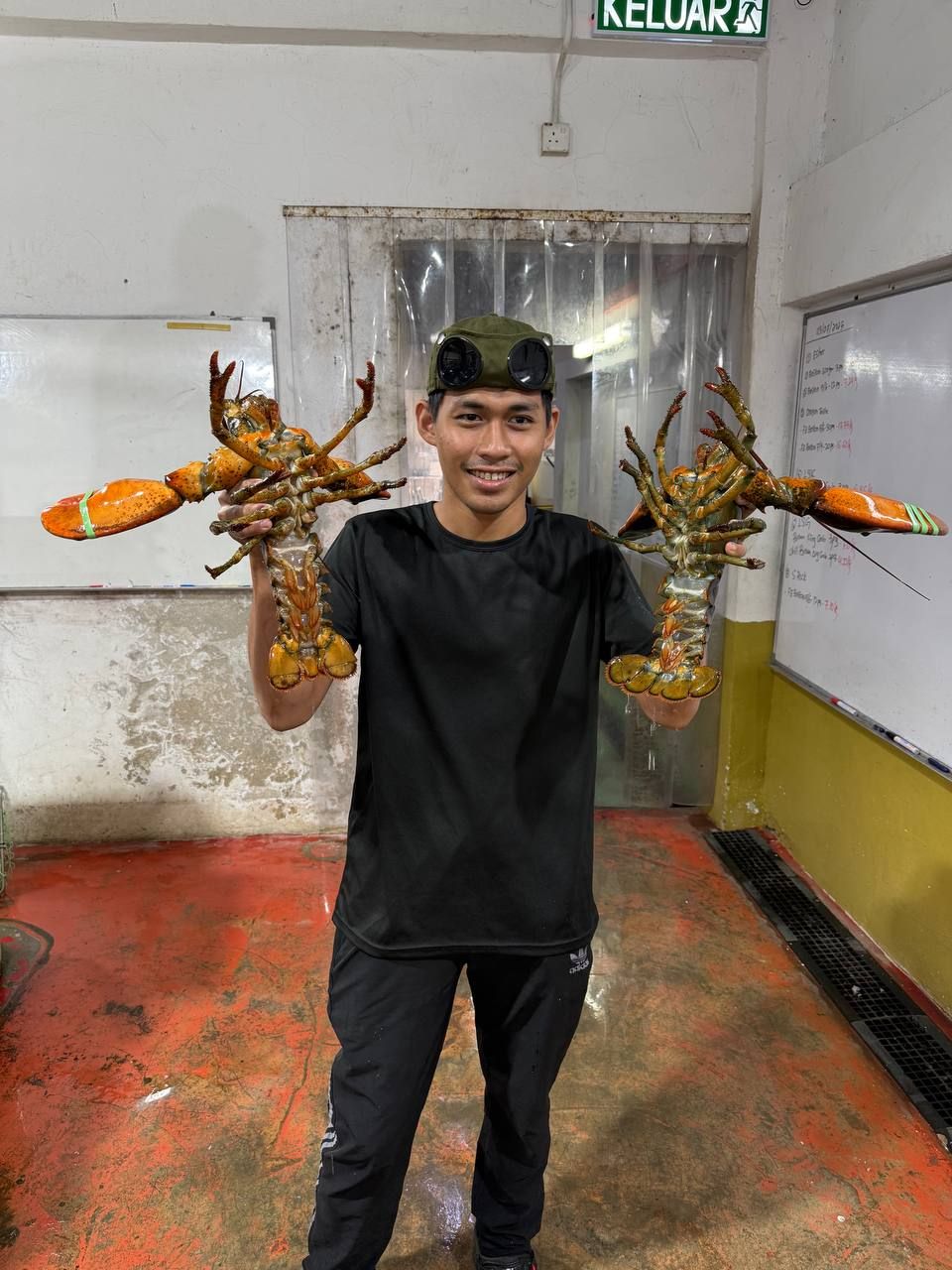 【FRESH LIVE】Boston Lobster - Premium & Hidup_5