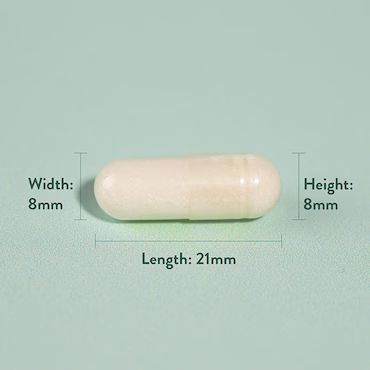 Holland & Barrett Glucosamine Sulphate 500mg 240 Capsules_3