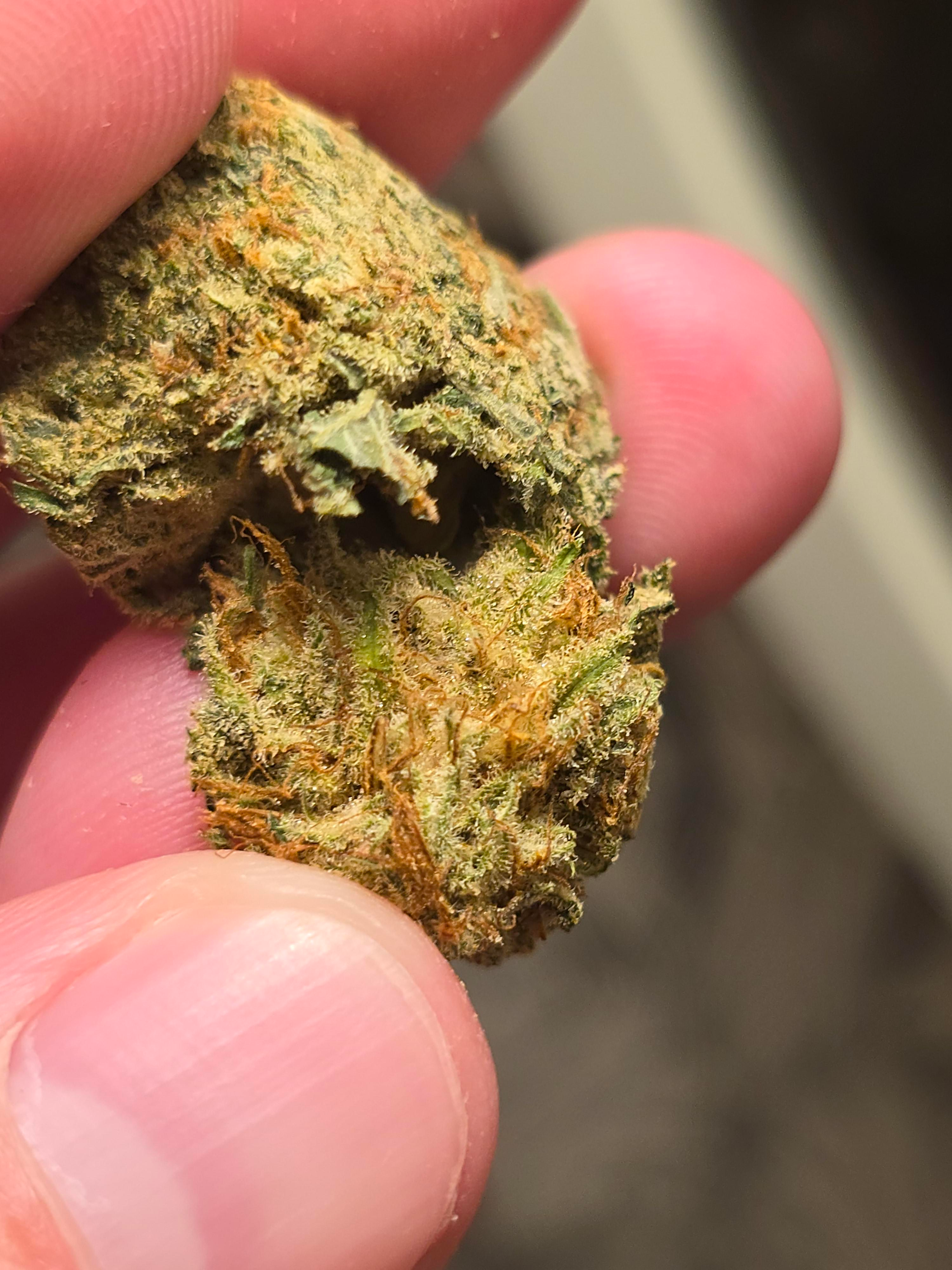 White Rhino Hash – 58.59% THC_4