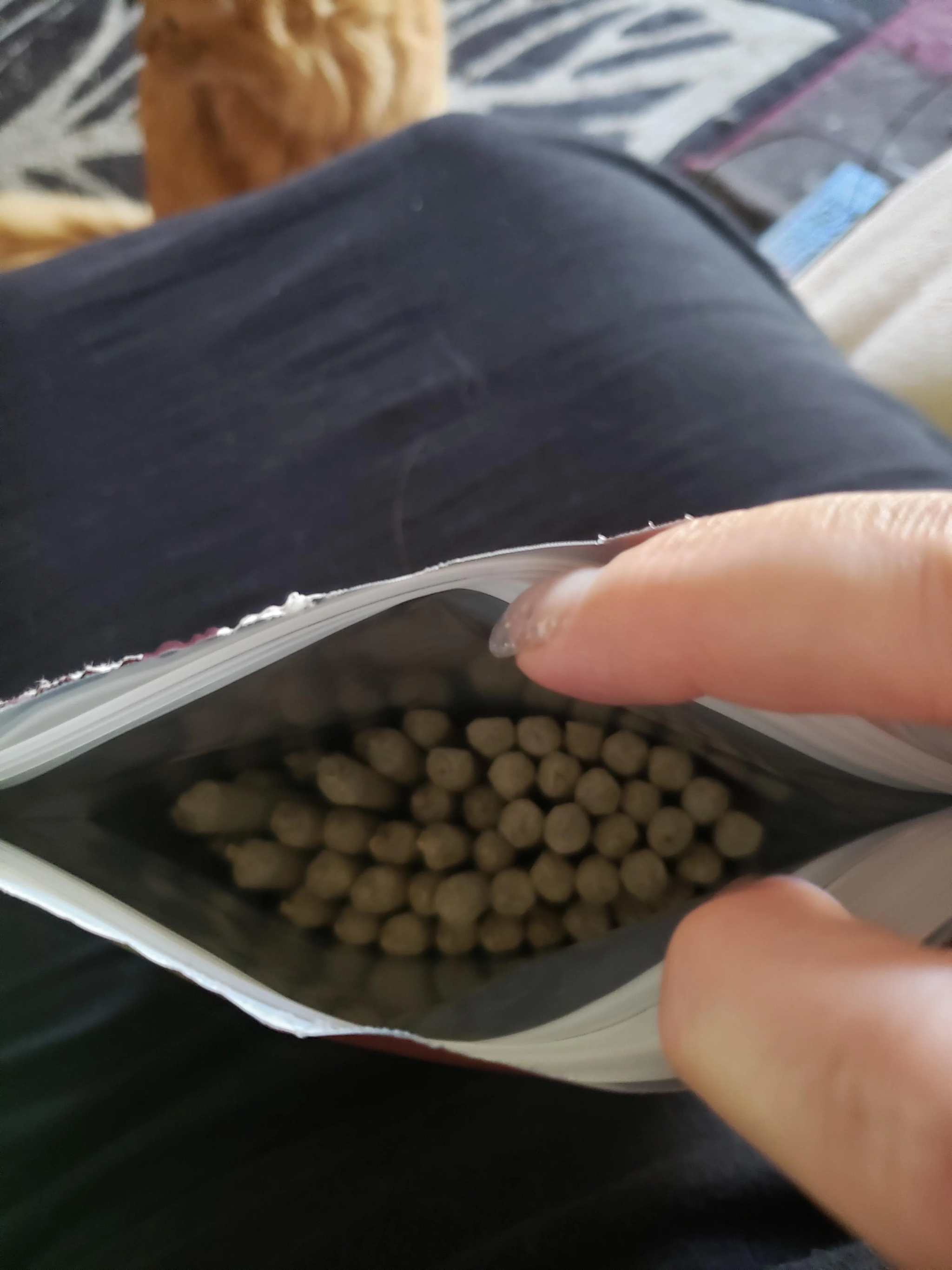 2020 Future Pre-Roll – Moonrock OG Joint Infused with Hash Oil & Kief_2