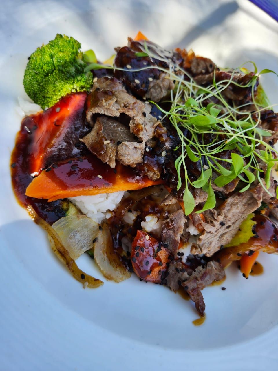 Teriyaki de Res (Beef Teriyaki)_0
