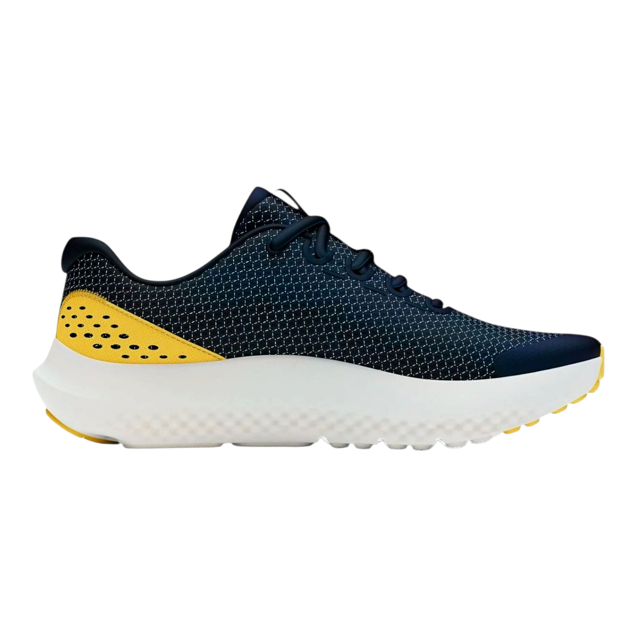 Visual Cushioning Surge 4_2