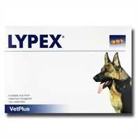 Lypex For Cats and Dogs - 60 Capsules_0