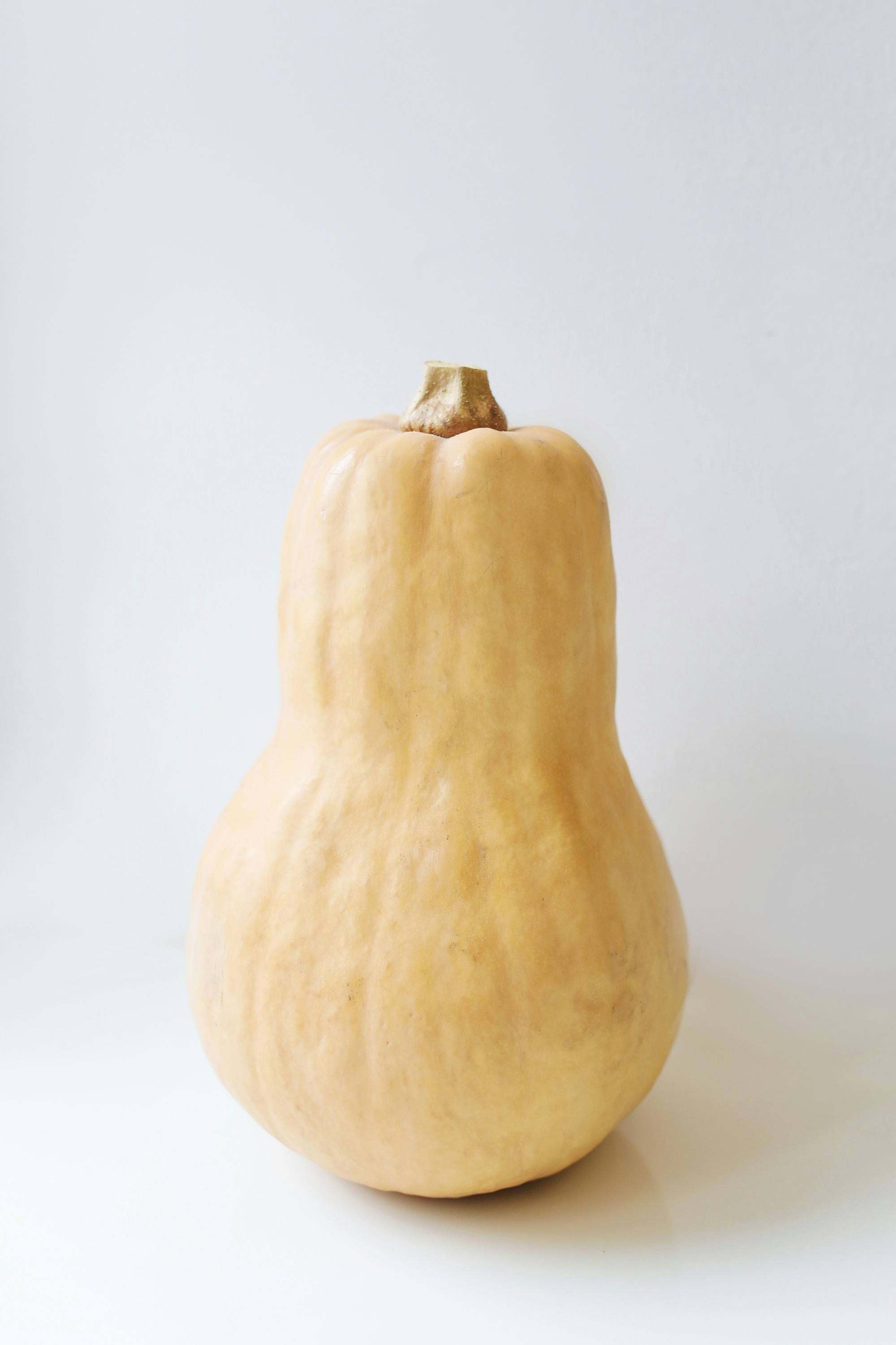 Butternut Squash_0