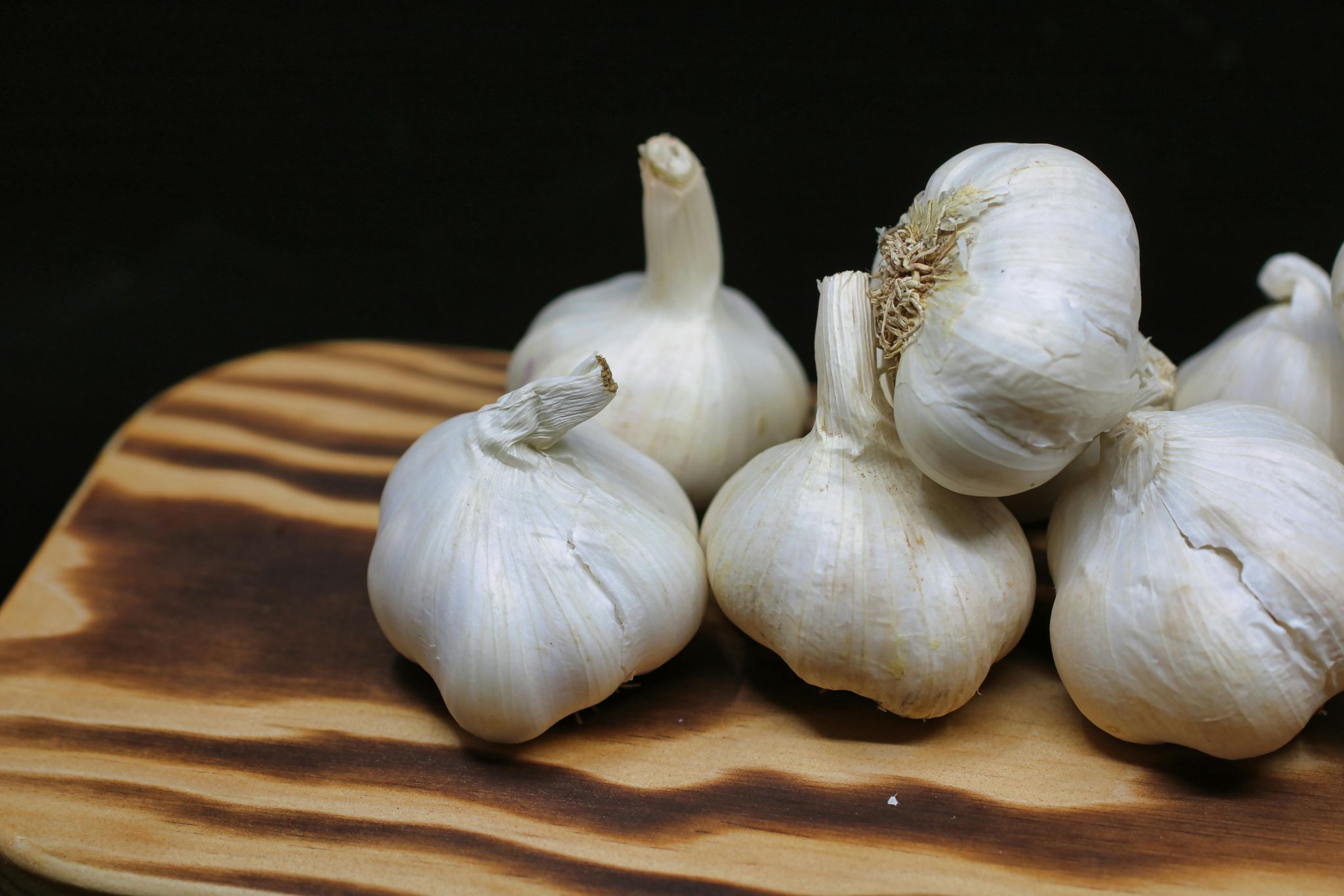 Garlic_0