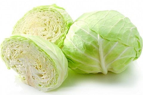 Cabbage (green)_0