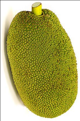 Jackfruit_0