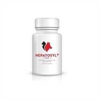 Hepatosyl Plus - 200mg - 60 Capsules_0