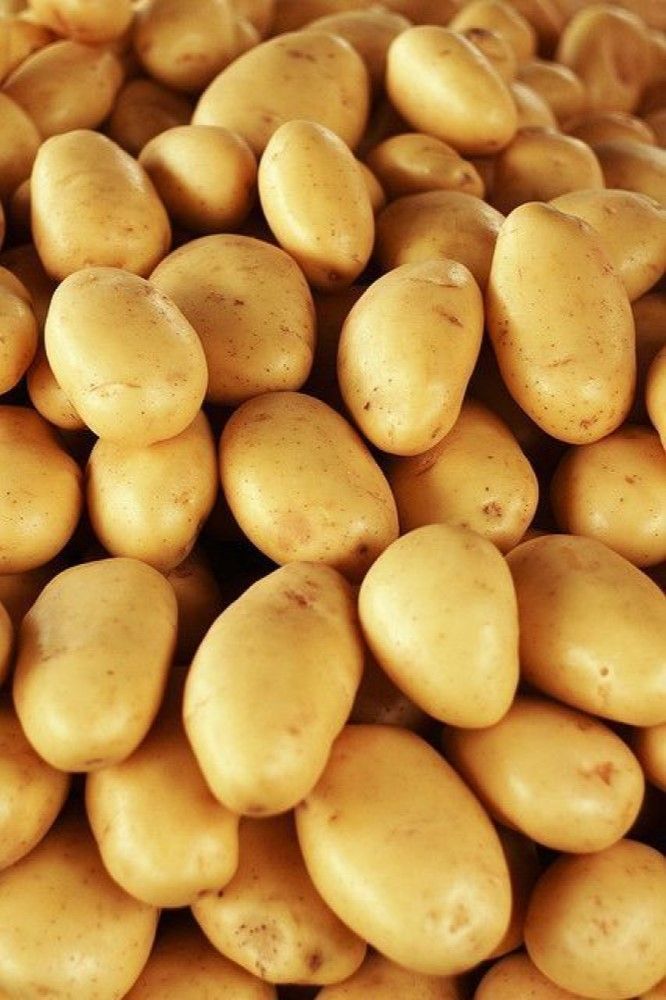Irish Potatoes _0