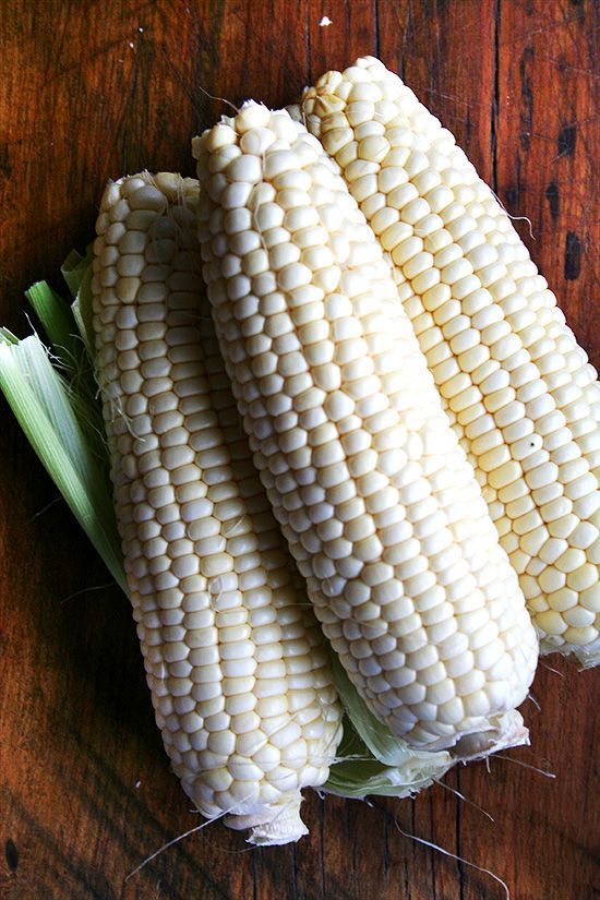 Maize_0