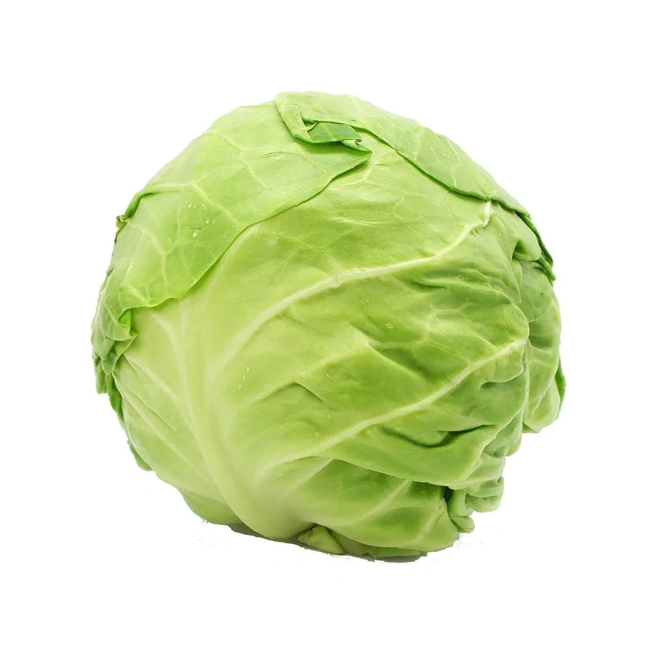 Green Cabbage ملفوف أخضر_0