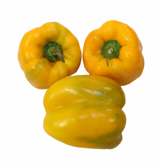 Yellow Bell Pepper_0