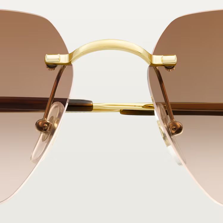 Cartier 4493 BR_2