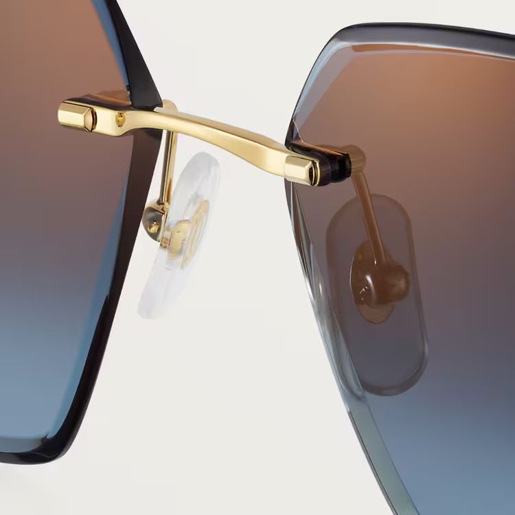 Cartier 4493 BL_2