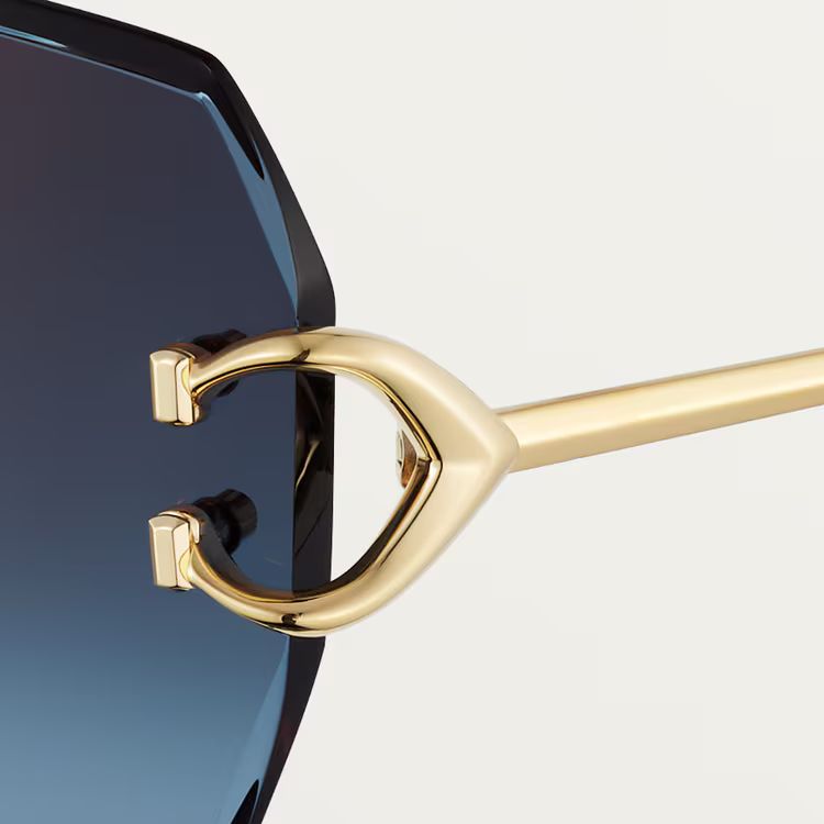 Cartier 4493 BL_4