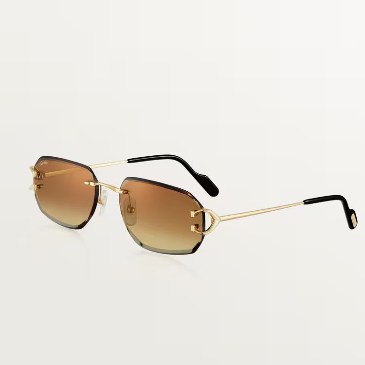 Cartier 4028  BR_1