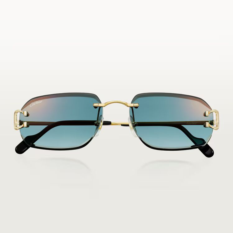 Cartier 4028 BL_0