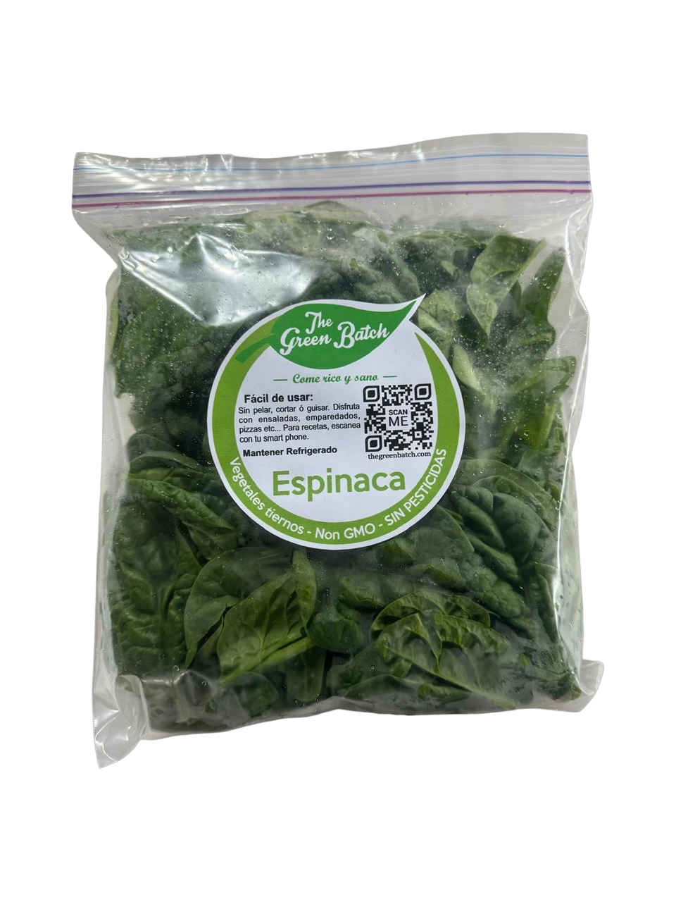 The Green Batch – Spinach / Espinaca_2