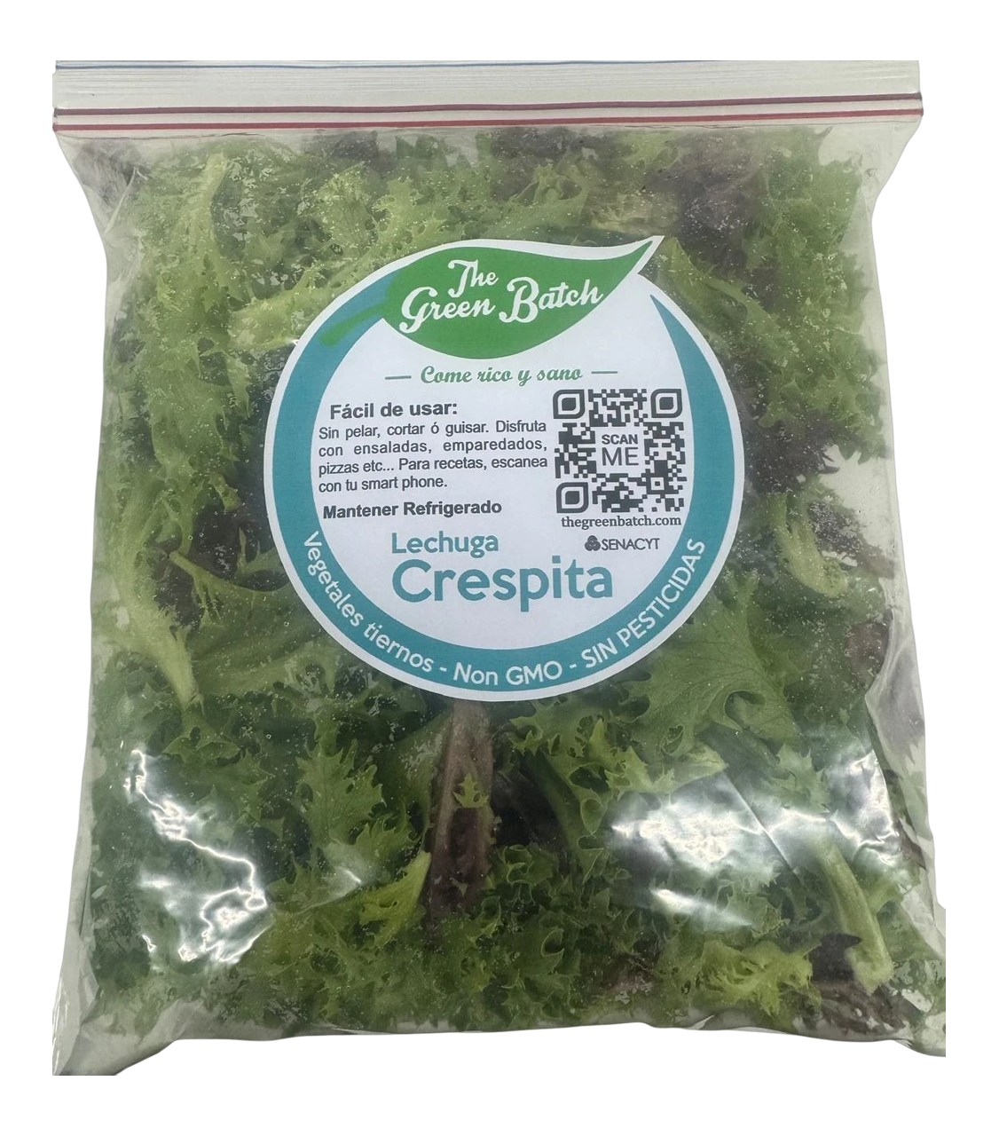 The Green Batch – Crespita Lettuce Bag 230g / Lechuga Crespita Bolsa 230g_0