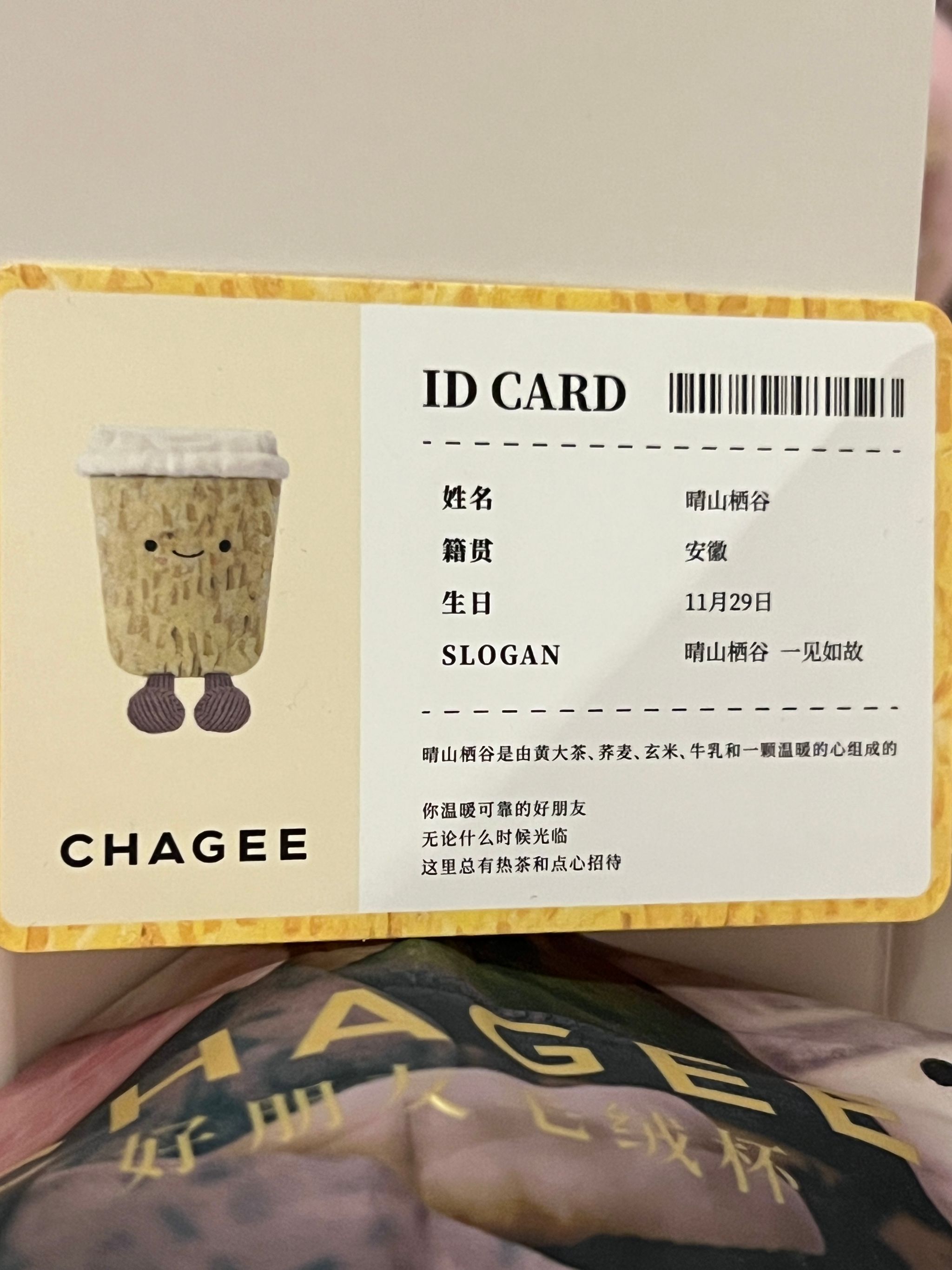 霸王茶姬好朋友毛绒杯 - 晴山栖谷_1